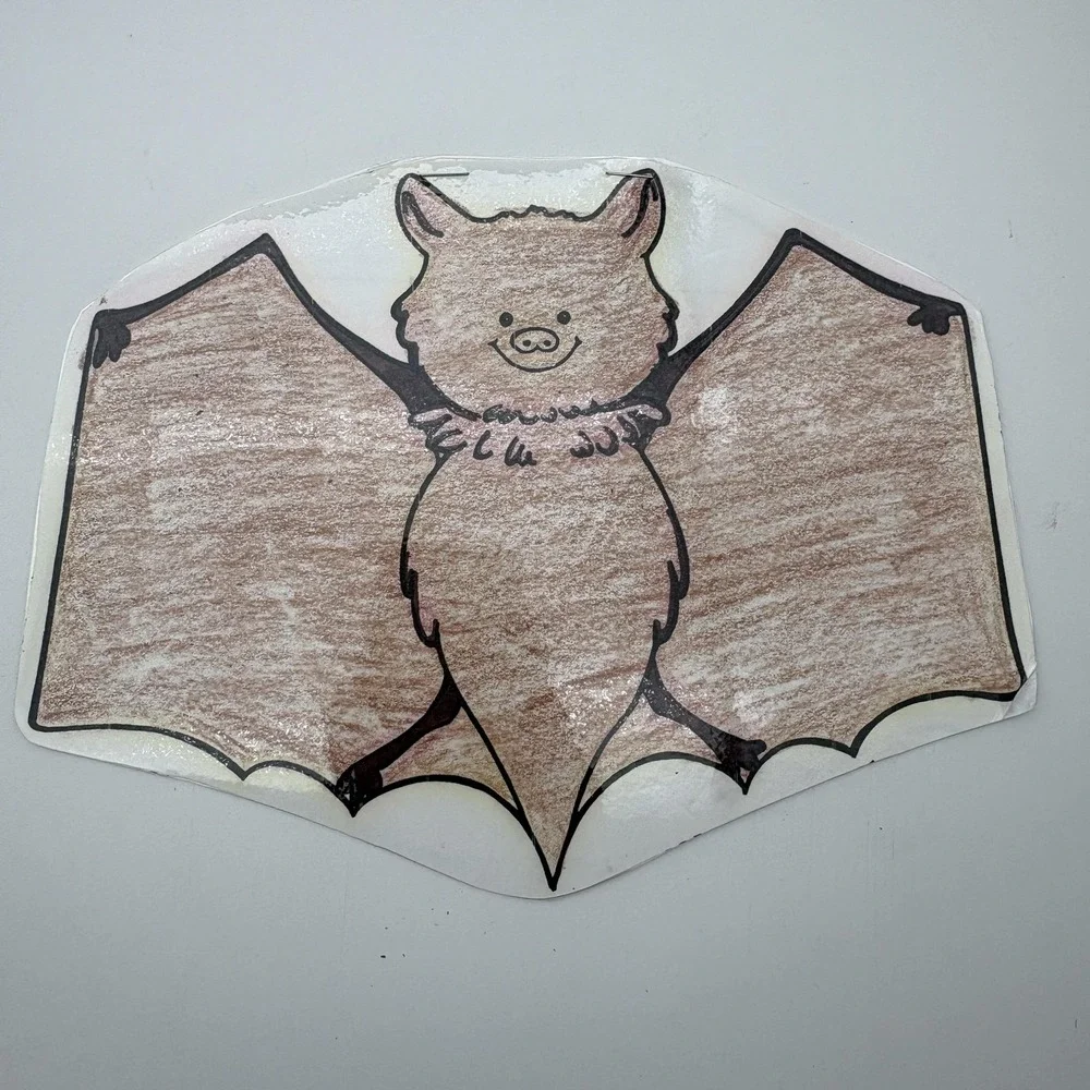Vintage‎ Migration Vacation Bats Birds Classroom Teaching Aids Laminated Lot